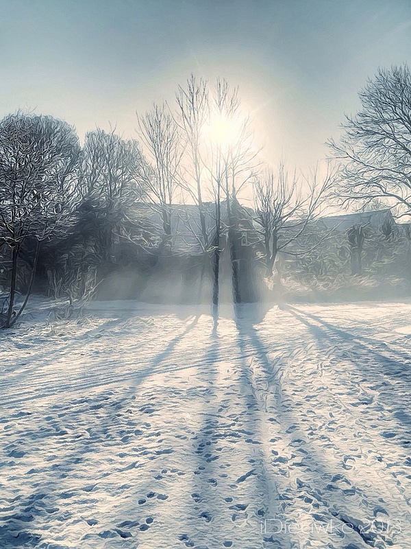 Capturing the Moment in March – Edition 2