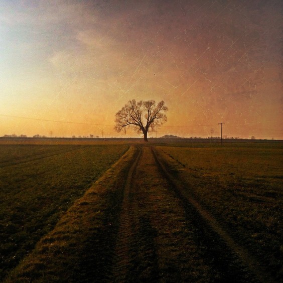 Capturing the Moment in April – Edition 3 3 Follow Your Own Path by M a r i k o