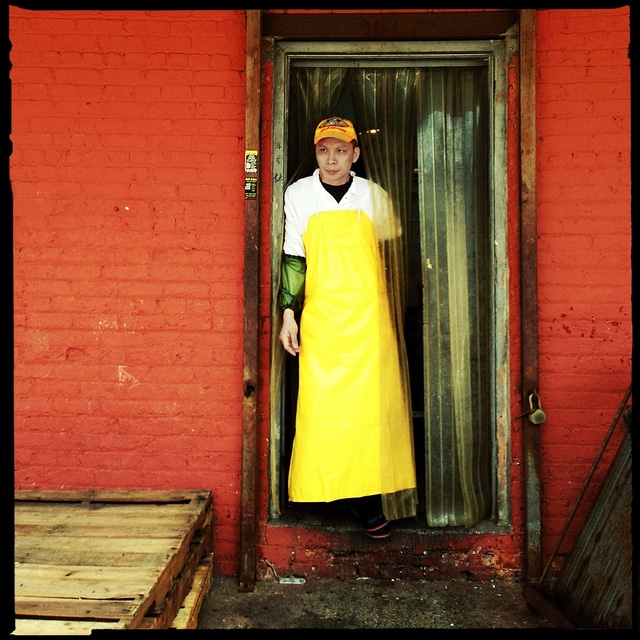 Capturing the Moment in June – Edition 3