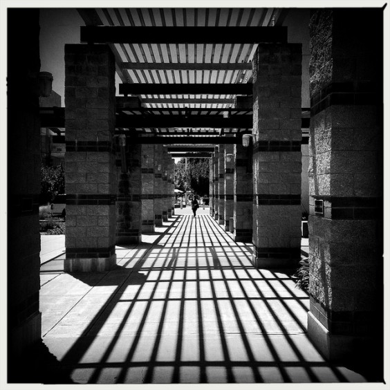 Capturing the Moment in July – Edition 1 1 Untitled by Fabio Morbec