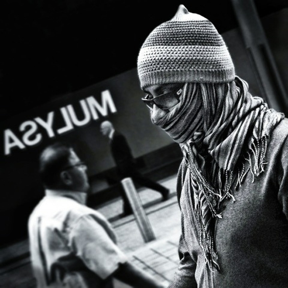 Asylum by Paul J Rose