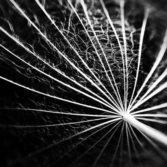 Capturing the Moment in September - Edition 1 3 'Untitled' by Melissa Johnson
