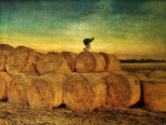 Untitled by titanikascontainer1 Untitled by titanikascontainer1