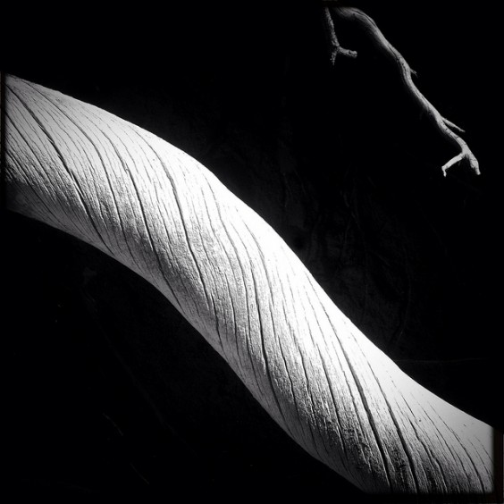 Untitled by Alan Julliard