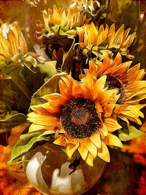 Sunflowers