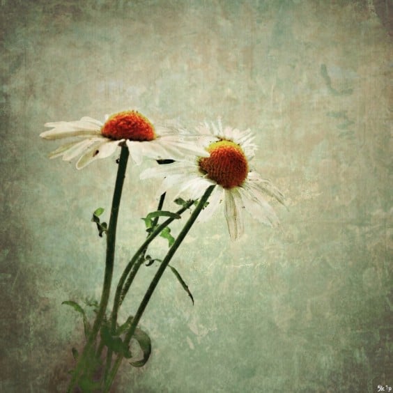 Talking iPhone Photography with Paul Brown 4 photograph by Paul Brownphotograph by Paul Brown