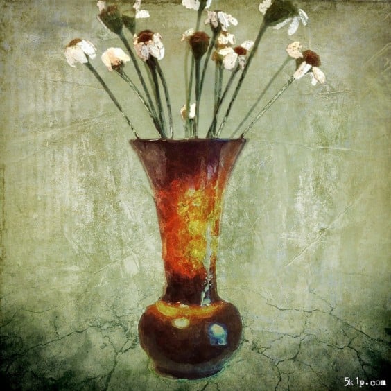 Talking iPhone Photography with Paul Brown 9 photograph by Paul Brown