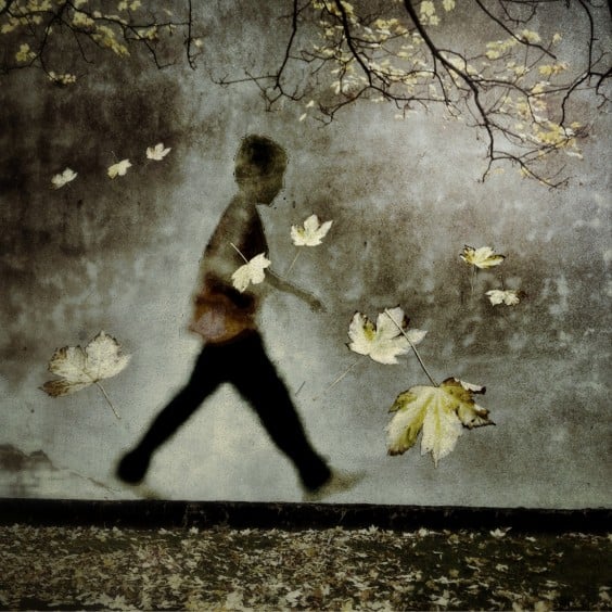 Talking iPhone Photography with Paul Brown 7 photograph by Paul Brown