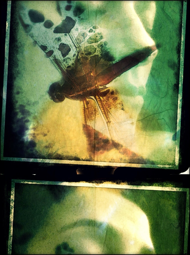 24 Mobile Photographers til Christmas: Armineh Hovanesian