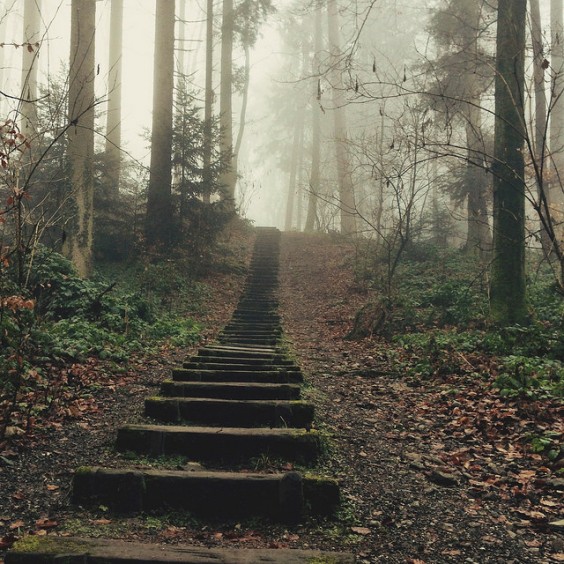 Photo by Pirmin Föllmi