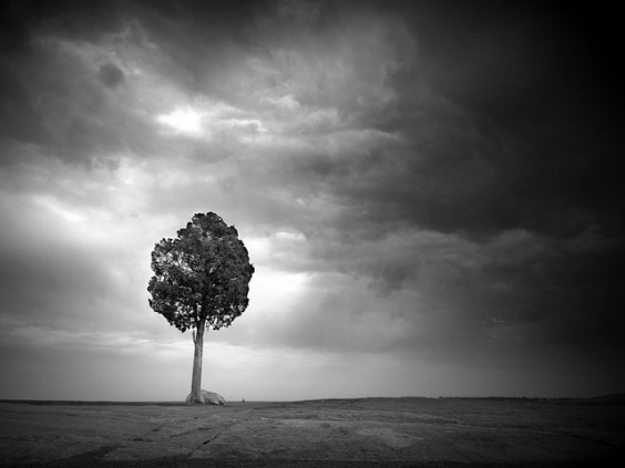 ‘A Moment in Time’ Showcase – March: Edition 5 1 Photo by Rob De Paolo