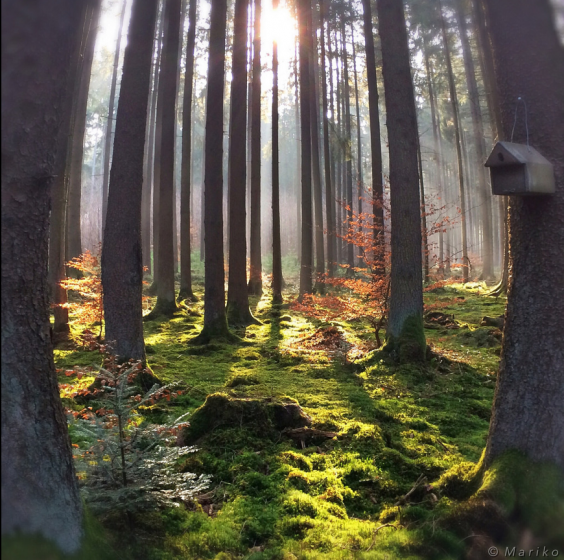 ‘A Moment in Time’ Showcase – March: Edition 5 6 Photo by Mariko Klug