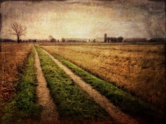 The iPhone Photographic Artistry of Davide Capponi 9 The voice of the land 2