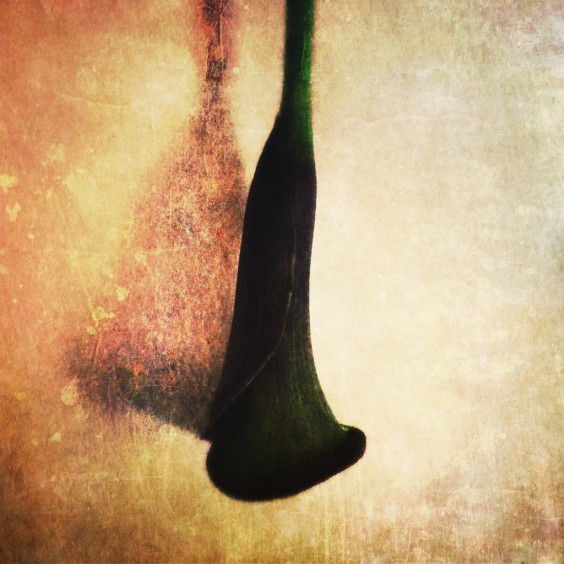 Photo by StickyQuote 