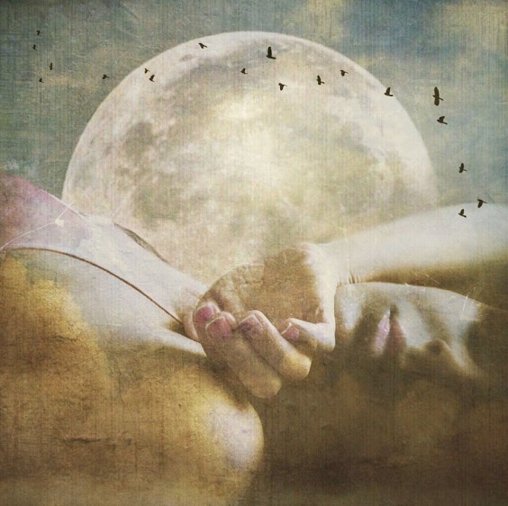 Photo by Louise Fryer