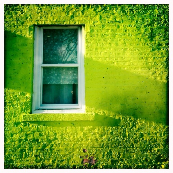 10 Superbly Colourful Smartphone Photographs 8 Photo by Kim Martino