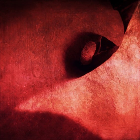 10 Superbly Colourful Smartphone Photographs 7 Photo by David DeNagel