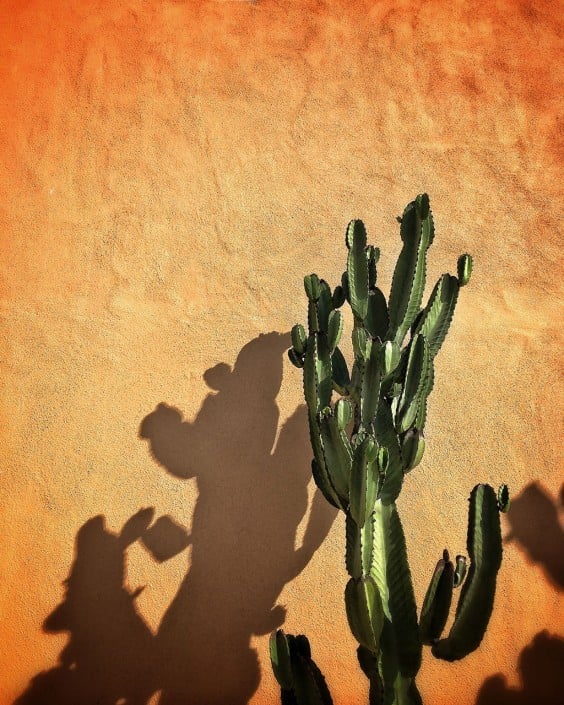 10 Superbly Colourful Smartphone Photographs 4 Photo by Ryan Vaarsi