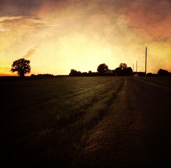 10 Superbly Colourful Smartphone Photographs 2 Photo by Richard Pilon