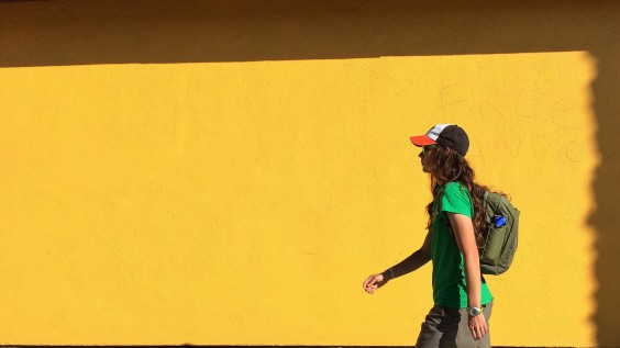 10 Superbly Colourful Smartphone Photographs 3 Photo by Ryan Vaarsi