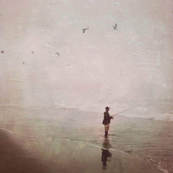 Photo by  Petyr Campos