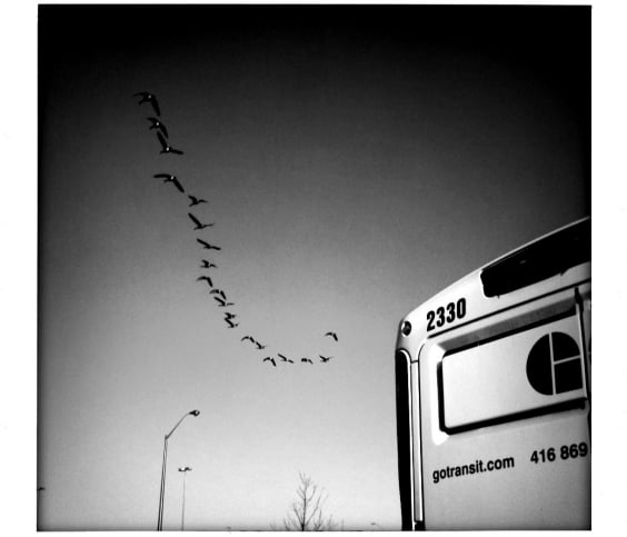 Discovering Daniel Berman and the Mobile Photo Awards 2014 2 Lets Go by Daniel Berman