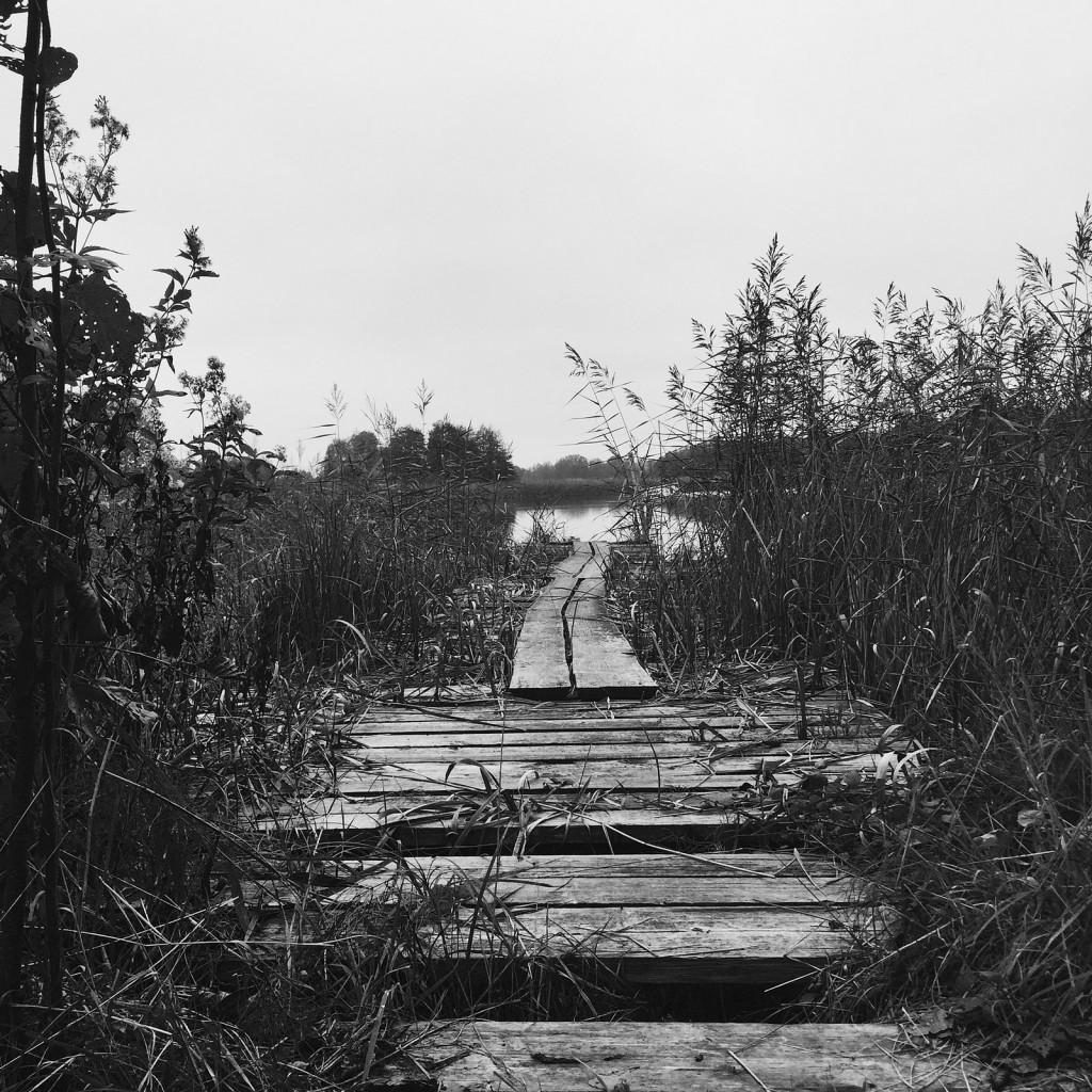 Photo by  Waldemar B?a?ej Nowak