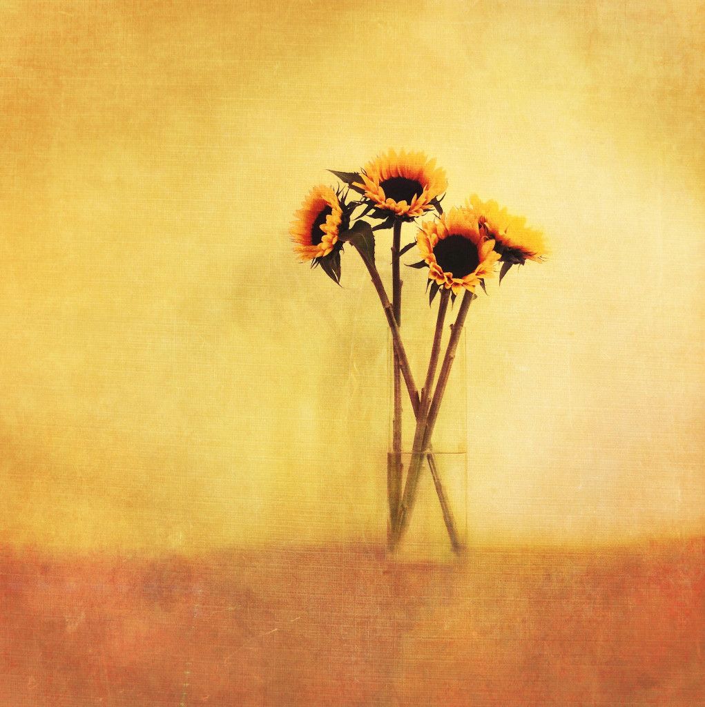 Sunflowers by Elaine Taylor