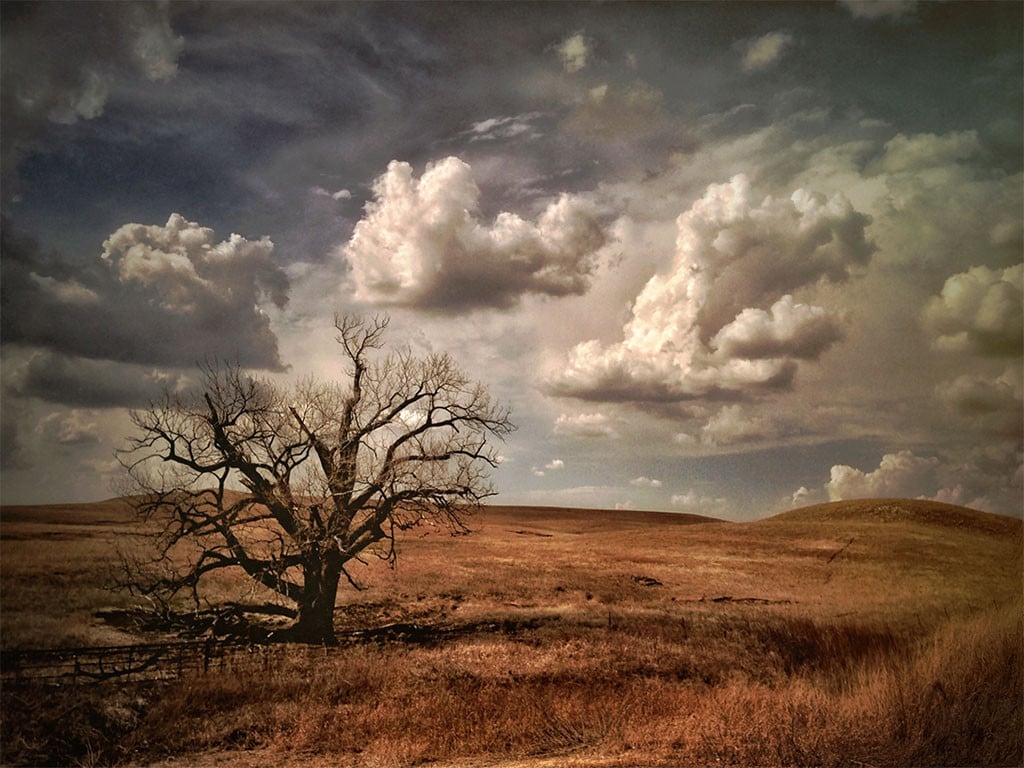 Photo by Wayne Greer