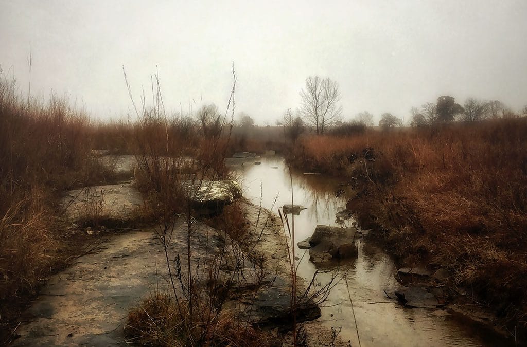 How Wayne Greer Takes His Stunning Landscape IPhone Photos