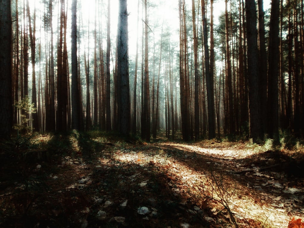 photo by ales87