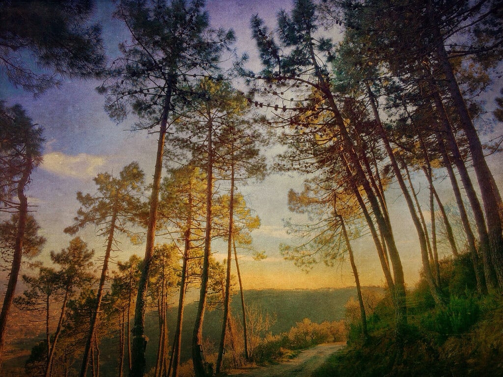 photo by gianluca ricoveri