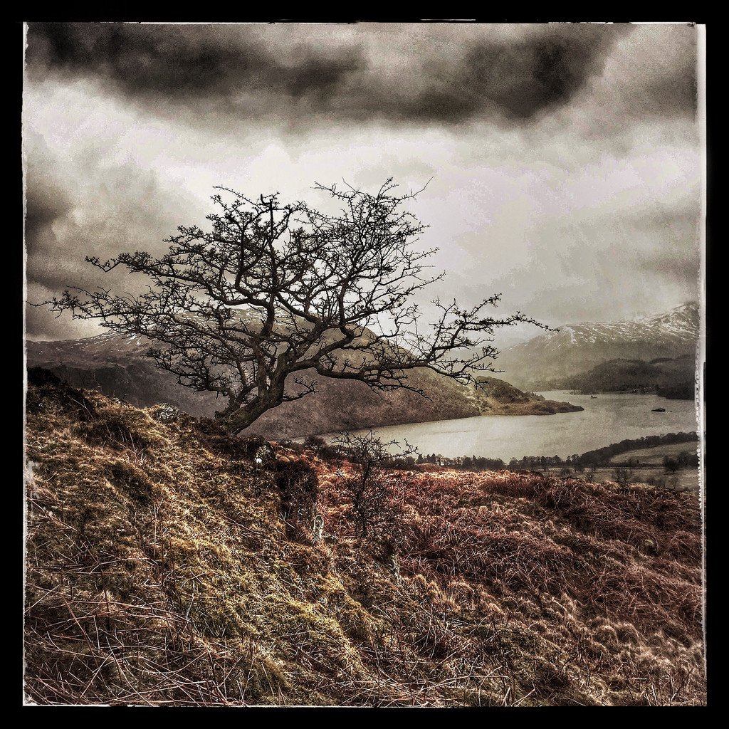 Photo by james green