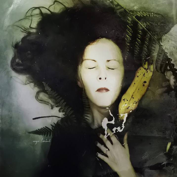 Photo by Angie Lambert