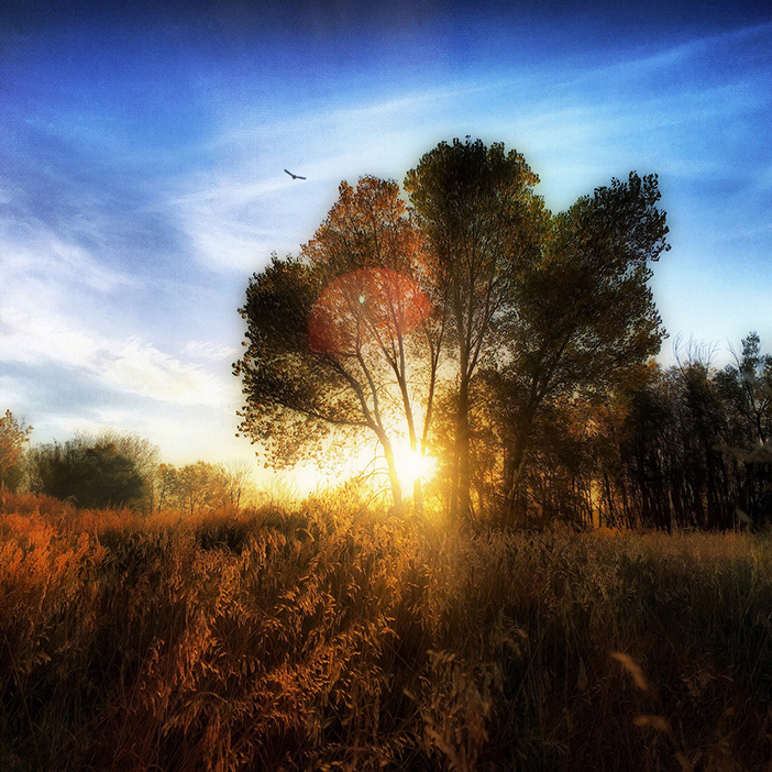 Photo by Cary Larrabee