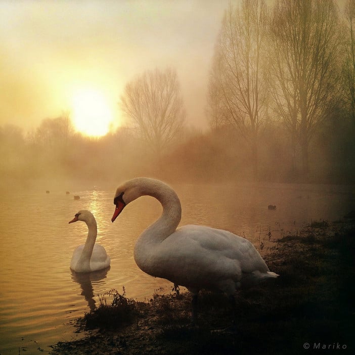 The iPhone Landscape Photography of Mariko Klug 2 Photo by Mariko Klug