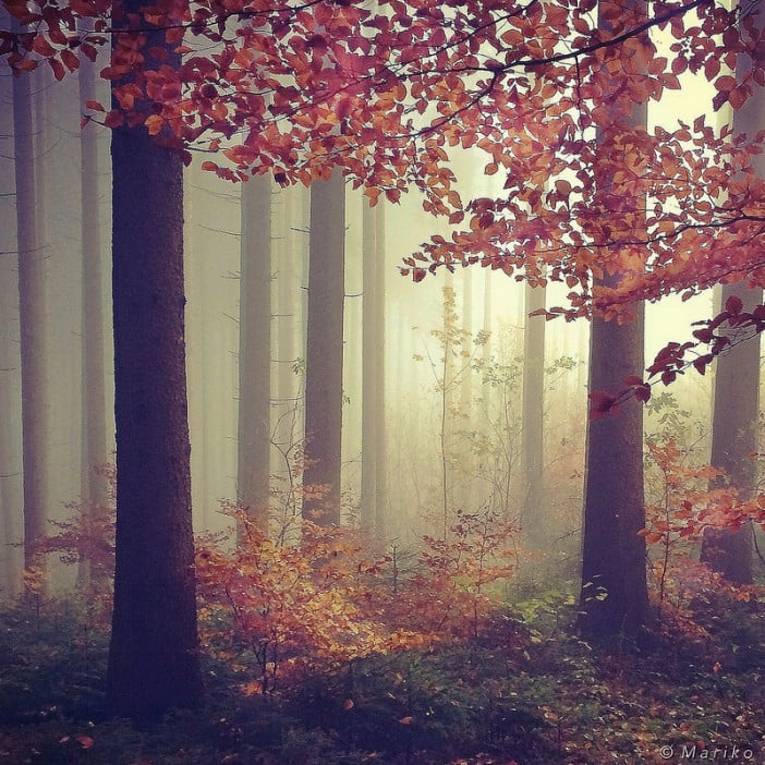 The iPhone Landscape Photography of Mariko Klug 4 Photo by Mariko Klug