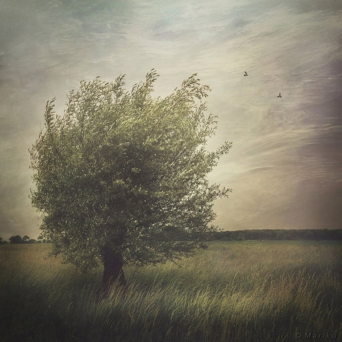 The iPhone Landscape Photography of Mariko Klug 5 Photo by Mariko Klug