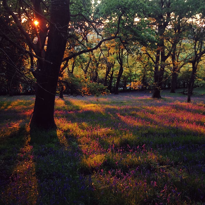 Photo by Jo Bradford