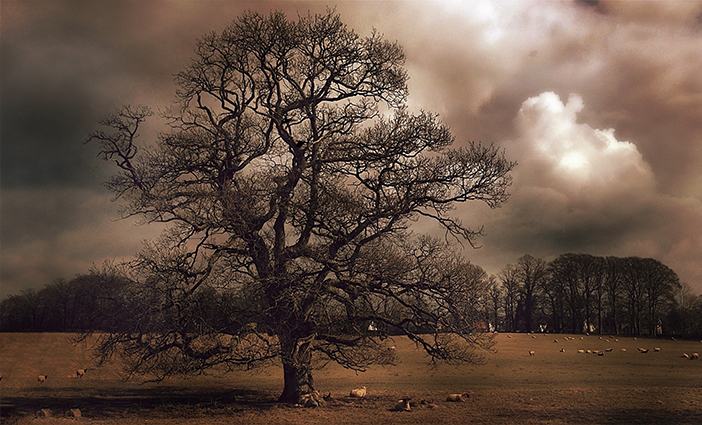 Photo by Paul Moore