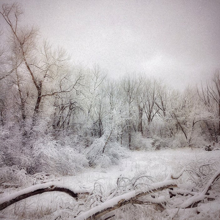 Photo by Cary Larrabee