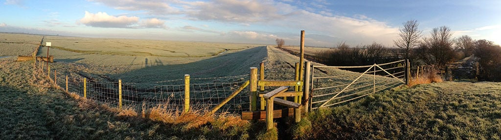 Panoramic Photo across the Marsh