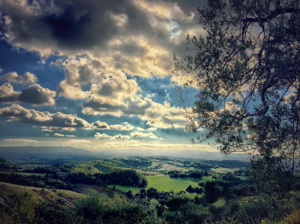Photo by Gianluca Ricoveri