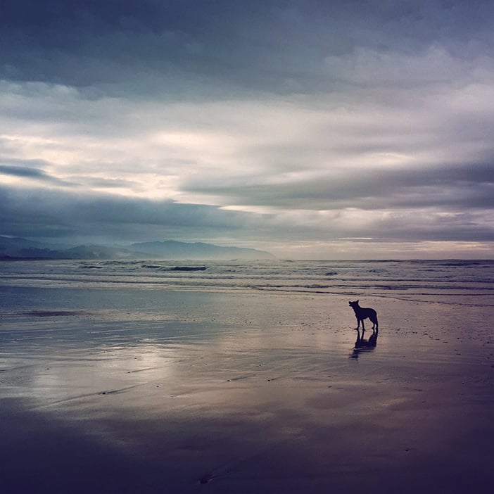 10 Ways to Shoot Better Reflection Photography with Your iPhone 5 Photo by Jessica Andrews