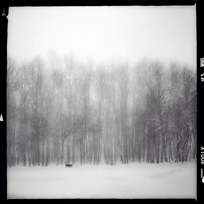 photo by nheco