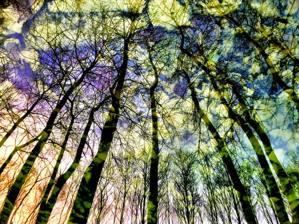 How Paul Yan Takes Amazing Photographs with his iPhone 11 Where Dreams and Reality Intertwine