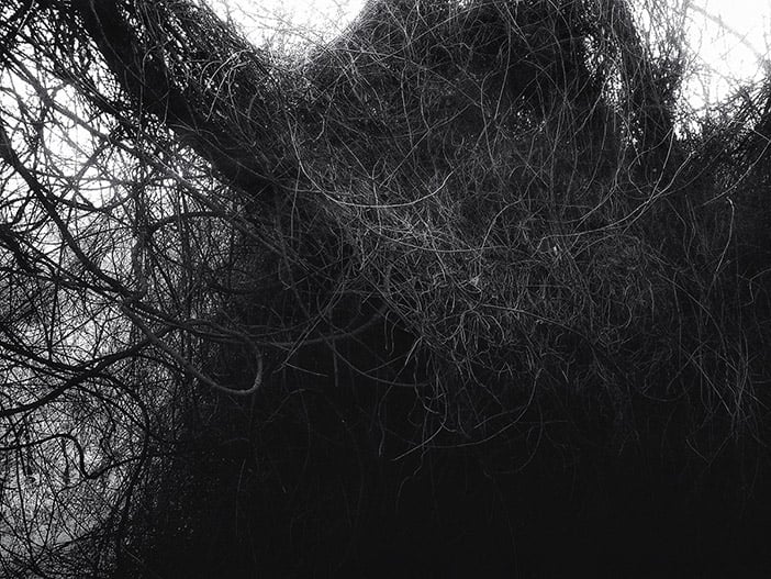 How Claudia Kraus Creates Beautiful Art With Her iPhone 6 Chaos Theory