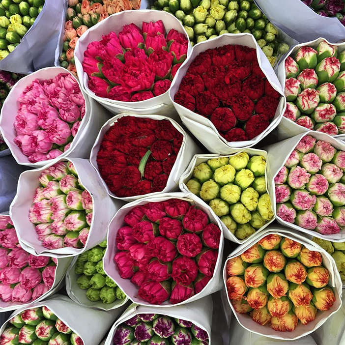 10 Beautiful (& Inspiring) iPhone Photos of Flowers & Fauna 2 garyhayes_19_7_2016_16_13_6_812