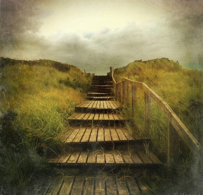 The iPhone Landscape Photography of Mariko Klug