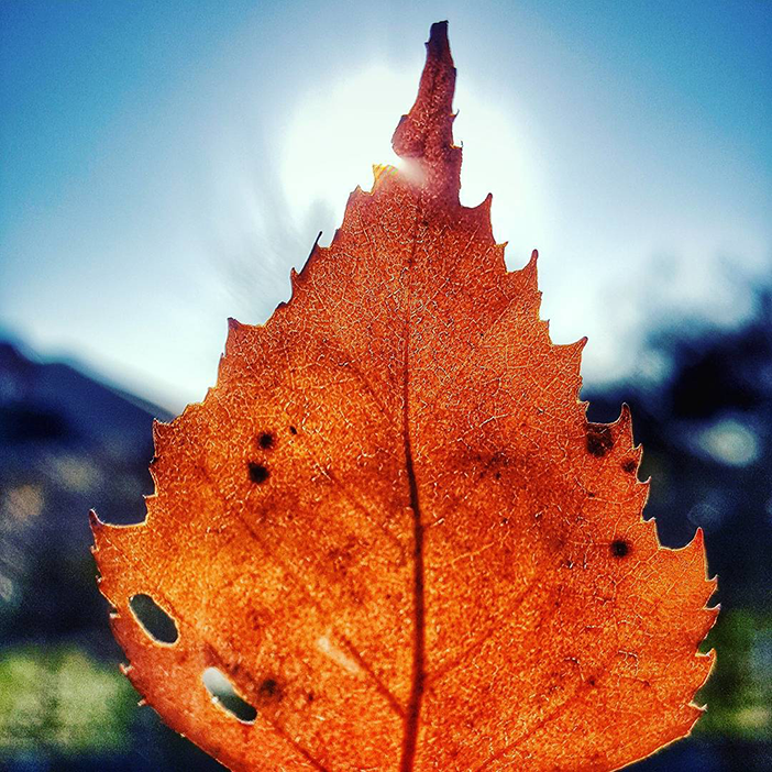 10 Wonderful iPhone Photos All Inspired By The Colour Blue 7 wojtek-pietras_24_11_2016_14_50_50_183